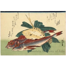 歌川広重: Kanagashira Gurnards, Flatfish & Bamboo Grass - ホノルル美術館