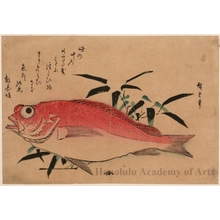 歌川広重: Rosefish & Bomboo Grass - ホノルル美術館