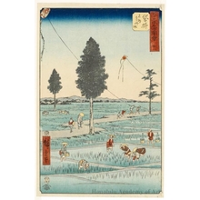 歌川広重: Enshü Kites, A Famous Product of Fukuroi (Station #28) - ホノルル美術館