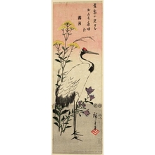 Utagawa Hiroshige: Crane and Platycodon and Yellow Flowers (Descriptive Title) - Honolulu Museum of Art