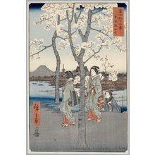 歌川広重: The Sumida Embankment in the Eastern Capital - ホノルル美術館