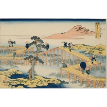 Katsushika Hokusai: Ancient View of the Yatsuhashi Bridge in Mikawa Province - Honolulu Museum of Art