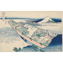 Katsushika Hokusai: Ushibori in Hitachi Province - Honolulu Museum of Art