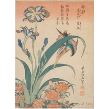 葛飾北斎: Kingfisher with Iris and Pinks - ホノルル美術館