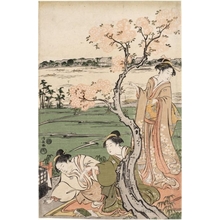 Torii Kiyonaga: A View of Cherry Blossoms on the Bank of the Sumida - Honolulu Museum of Art