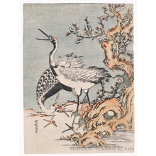 Isoda Koryusai: Two Cranes Under A Flowering Plum - Honolulu Museum of Art