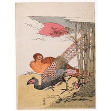 磯田湖龍齋: Two Pheasants, Bamboo & Red Sun - ホノルル美術館