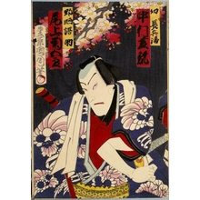 Toyohara Kunichika: Onoe Kikugorö as Nozarashi Gohei - Honolulu Museum of Art