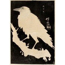 河鍋暁斎: Crow in the Snow - ホノルル美術館