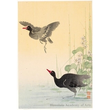 Itö Sözan: Two Black Geese - ホノルル美術館