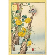Sügakudö: Kingfisher and Japanese Roses - ホノルル美術館
