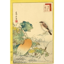 Sügakudö: Sparrow and Cucumber - ホノルル美術館