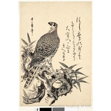 Kitagawa Utamaro: Hawk - Honolulu Museum of Art