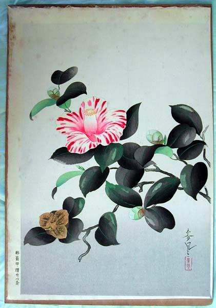 大野麦風: Camellia — 椿花図 - Japanese Art Open Database - 浮世絵検索