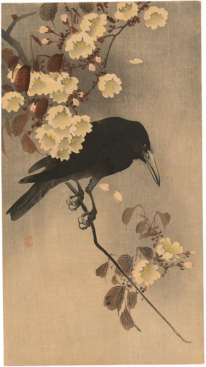 Shoson Ohara: Crow on a cherry branch - Japanese Art Open Database ...