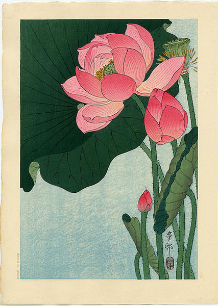 Shoson Ohara: Flowering Lotus - Japanese Art Open Database - Ukiyo 