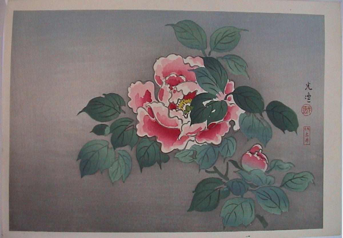 Tsuchiya Koitsu: Floral print- Flower - Japanese Art Open Database 