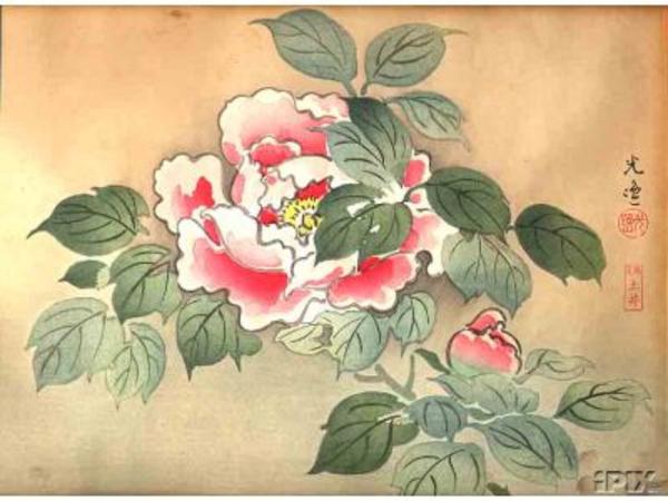 Tsuchiya Koitsu: Floral print- Flower - Japanese Art Open Database 