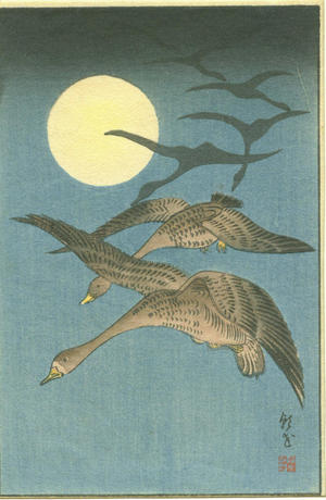 Akiyo: Ducks Flying - Japanese Art Open Database