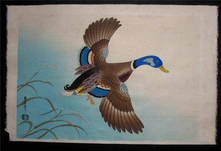 麻田辨次: Unknown, Duck in flight - Japanese Art Open Database