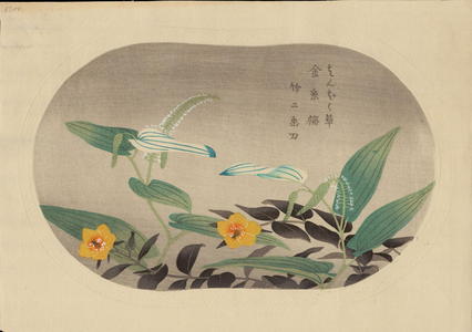 Fujishima Takeji: Saururus Chinensis and Hypericum Patulum — はんぱく草, 金糸草 - Japanese Art Open Database
