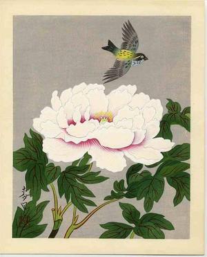 大野麦風: Bird and Flower 5 - Japanese Art Open Database