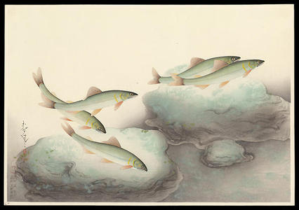 Bakufu Ohno: Ayu- Sweetfish — 鮎 - Japanese Art Open Database