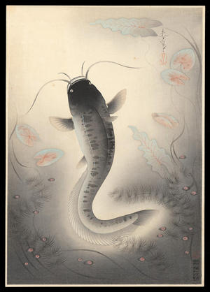 Bakufu Ohno: Catfish — なまず （Namazu） - Japanese Art Open Database