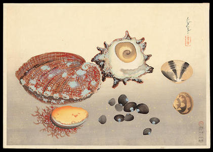 大野麦風: Clams and Mollusks - Japanese Art Open Database
