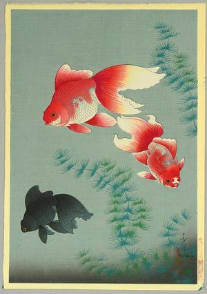 Bakufu Ohno: Goldfish - Japanese Art Open Database