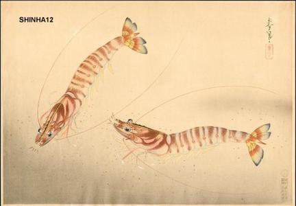 Bakufu Ohno: Kuruma-Ebi- shrimps - Japanese Art Open Database