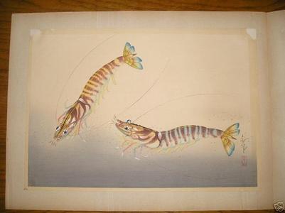 大野麦風: Kuruma-Ebi- shrimps - Japanese Art Open Database