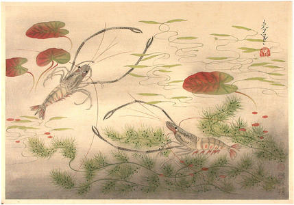 Bakufu Ohno: Long Clawed Shrimp — テナガエビ - Japanese Art Open Database