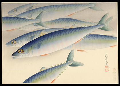 Bakufu Ohno: Saba- Mackerels - Japanese Art Open Database