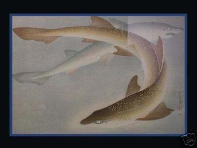 Bakufu Ohno: Shark- Same - Japanese Art Open Database