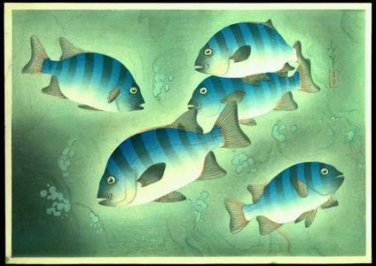 大野麦風: Unknown fish 1 - Japanese Art Open Database