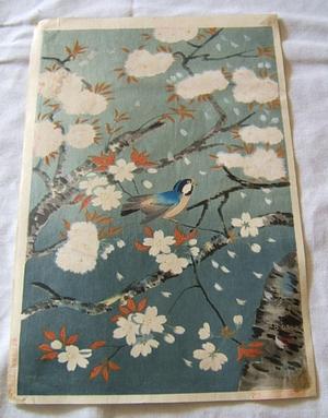 Bakufu Ohno: Bird and cherry blossoms - V1 — 桜と小鳥 - Japanese Art Open Database
