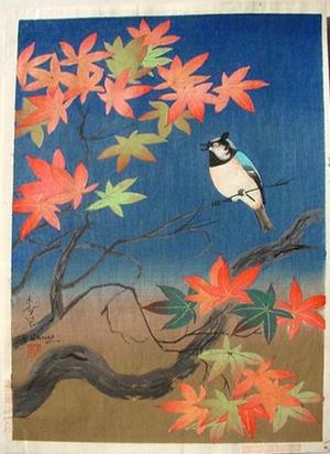 Bakufu Ohno: Bird and tree (2nd state) - Japanese Art Open Database