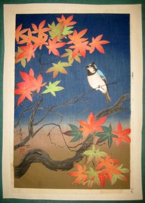 Bakufu Ohno: Bird and tree (2nd state) - Japanese Art Open Database