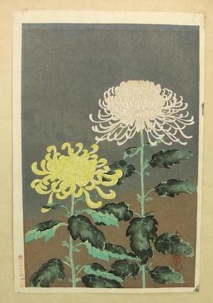 大野麦風: Chrysanthemums- Type 1- Variant 1 - Japanese Art Open Database