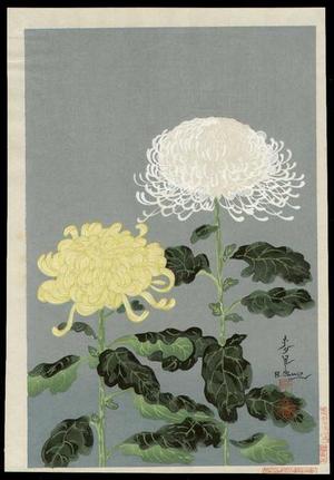 大野麦風: Chrysanthemums- Type 1- Variant 3 - Japanese Art Open Database