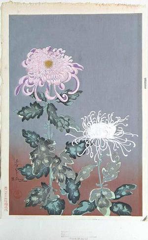 Bakufu Ohno: Chrysanthemums- Type 2 - Japanese Art Open Database