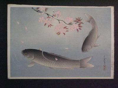 大野麦風: Sakura and Two carp — 桜に真鯉 - Japanese Art Open Database