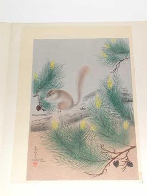 大野麦風: Squirrel in a pine tree - Japanese Art Open Database