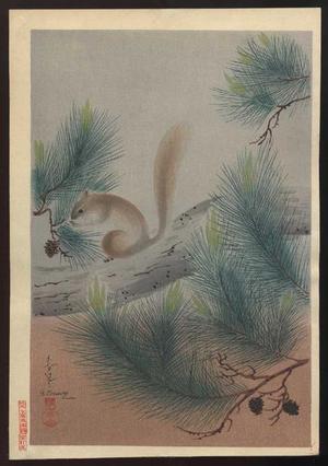 Bakufu Ohno: Squirrel in a pine tree - Japanese Art Open Database