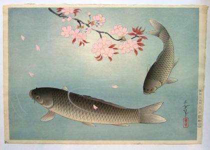 Bakufu Ohno: Sakura and Two carp — 桜に真鯉 - Japanese Art Open Database