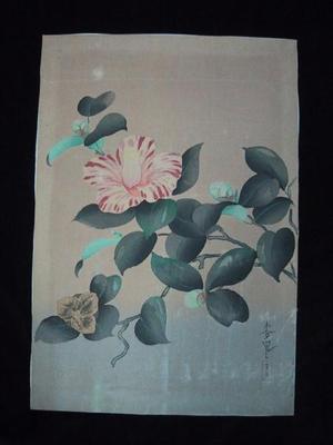 大野麦風: Unknown- Camellia - Japanese Art Open Database