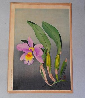 大野麦風: Western Orchid — 洋蘭図 - Japanese Art Open Database