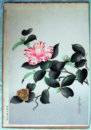 大野麦風: Camellia — 椿花図 - Japanese Art Open Database