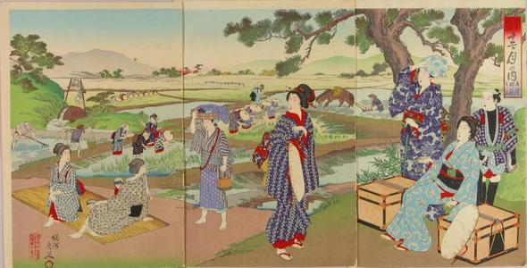 豊原周延: May- View of rice planting — 五月 田植之図 - Japanese Art Open Database
